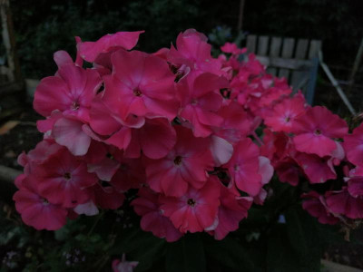IMG_20210805_200043[1].png