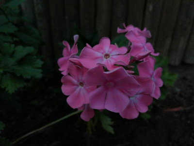 IMG_20210805_195926[1].png