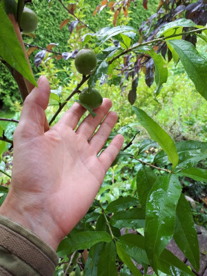 20210805_140217.jpg