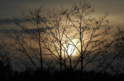 Sonne_1_19-02-2007.jpg
