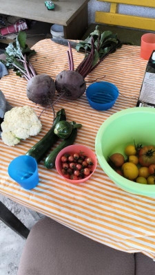 IMG-20210809-WA0008.jpeg