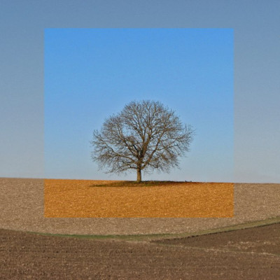 BAUM_I_CREATIVE.jpg