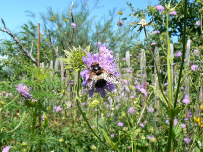 P1110676.JPG