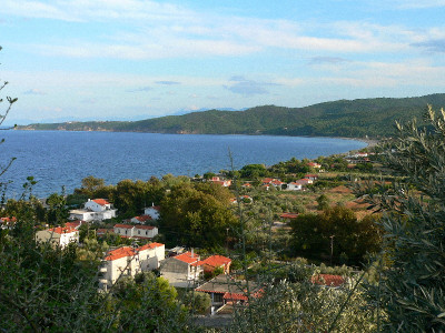 Vasilikas.JPG