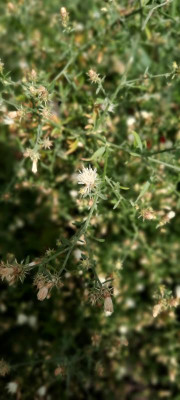 20210728_083204.jpg