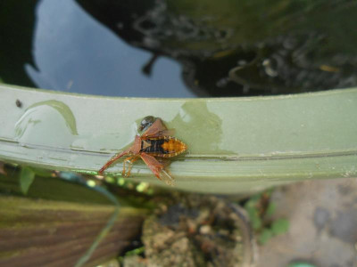 DSCN2535.JPG