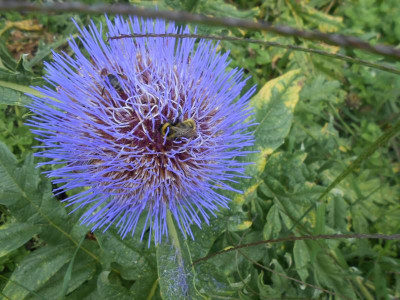 DSCN2519.JPG
