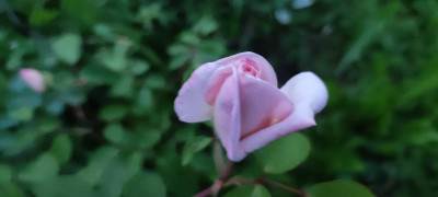 IMG_20210812_210034.jpg