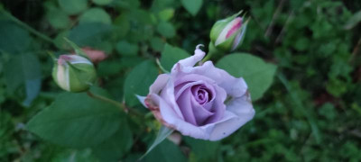IMG_20210812_205957.jpg