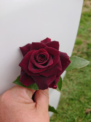 DSC_9573.JPG