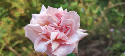IMG_20210814_191833.jpg