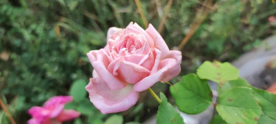 IMG_20210814_191756.jpg