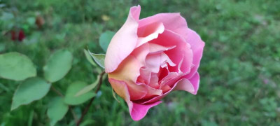 IMG_20210814_203537.jpg