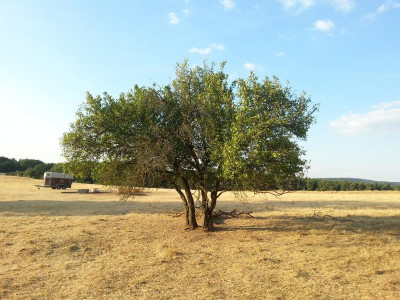 20180811_191923.jpg
