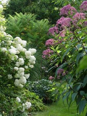2021-08-15 Gartenimpressionen 1.jpg