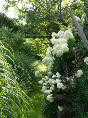 2021-08-15 Gartenimpressionen 4.jpg