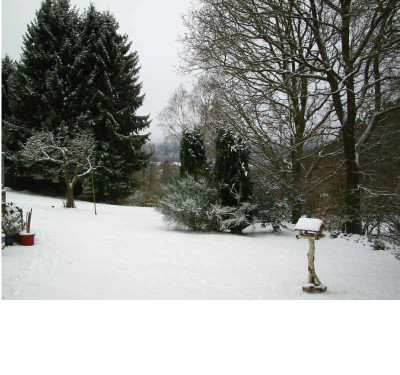 Schneegarten_02.02.08.jpg