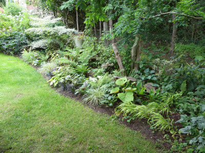 2021-08-16 Garteneinblick 1.jpg
