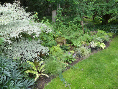 2021-08-16 Garteneinblick 6.jpg