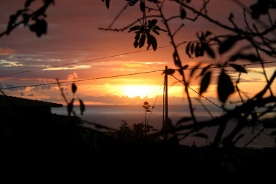 La_Palma_4108.jpg
