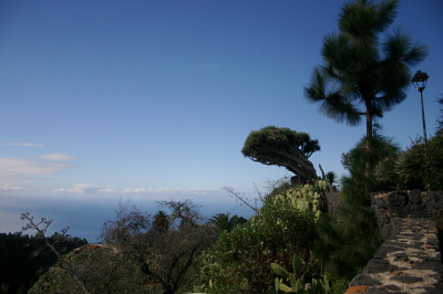 La_Palma_4608.jpg