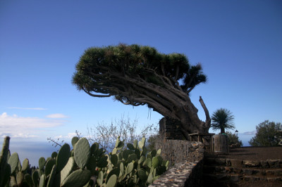 La_Palma_4508.jpg