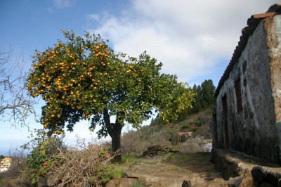La_Palma_5108.jpg