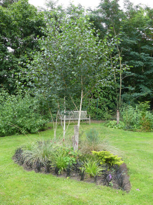 2021-08-16 Birkenhain 1.jpg