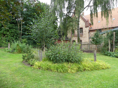2021-08-16 Birkenhain 2.jpg