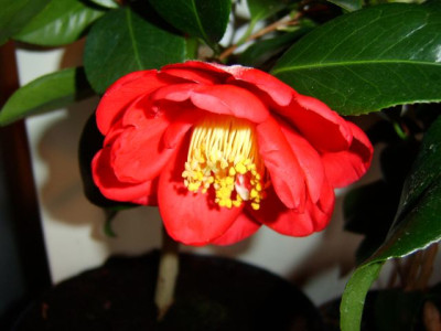 san_dimas_015.jpg