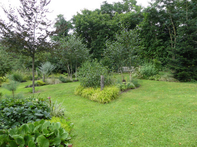 2021-08-16 Birkenhain 6.jpg