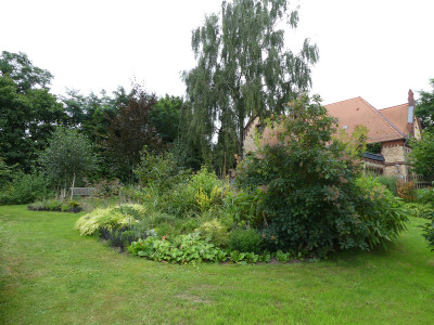 2021-08-16 Birkenhain 8.jpg