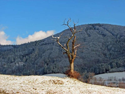 BAUME_SA_020208.jpg