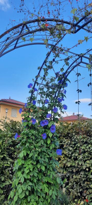 20210816_095551.jpg