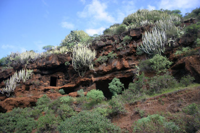 La_Palmaa0708.jpg