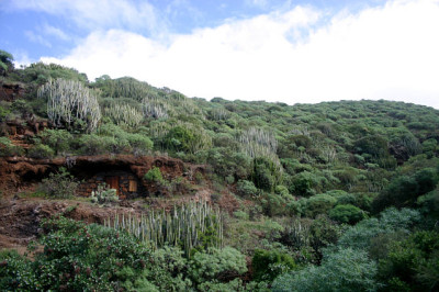 La_Palmaa0808.jpg