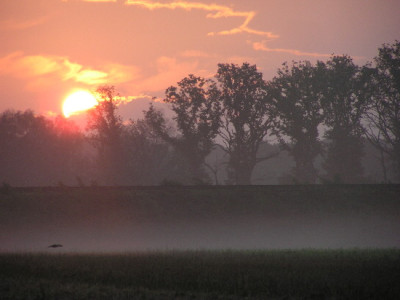 Sonne-Okt-1.jpg