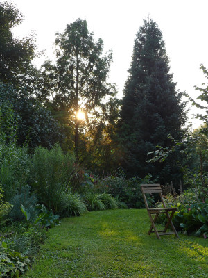 2021-08-20 Gartenimpressionen 1.jpg
