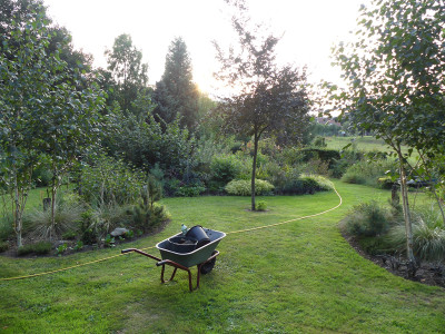 2021-08-20 Gartenimpressionen 2.jpg