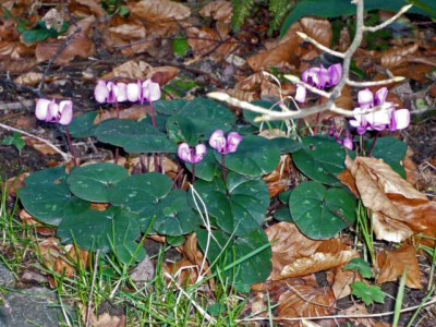 K640_P1000187_bearbeitet-2.JPG