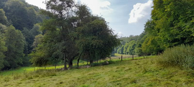 20210821_111716.jpg