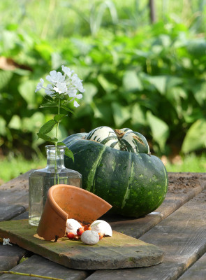 2021-08-21 Gartenimpressionen 1.jpg