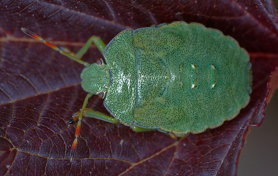 DSC_2755_DxO.jpg