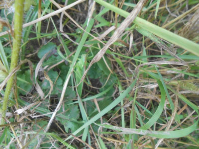 DSCN2591.JPG