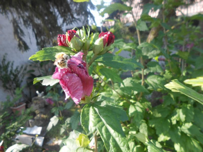 DSCN2638.JPG