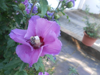 DSCN2640.JPG