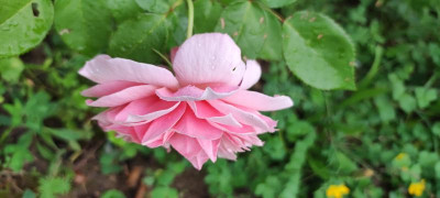 IMG_20210819_190738.jpg