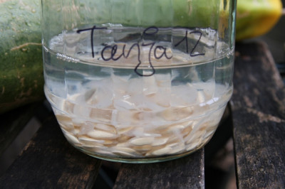 Tanja8.JPG