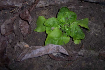 K640_100_4802.JPG