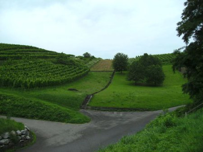 Landschaft_mit_Wasserstaffel.jpg